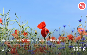Boostez votre qualité de vie avec les plantes sauvages !